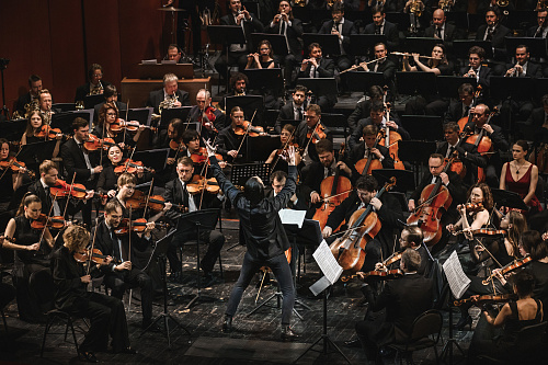 Richard Wagner: The Ring without Words